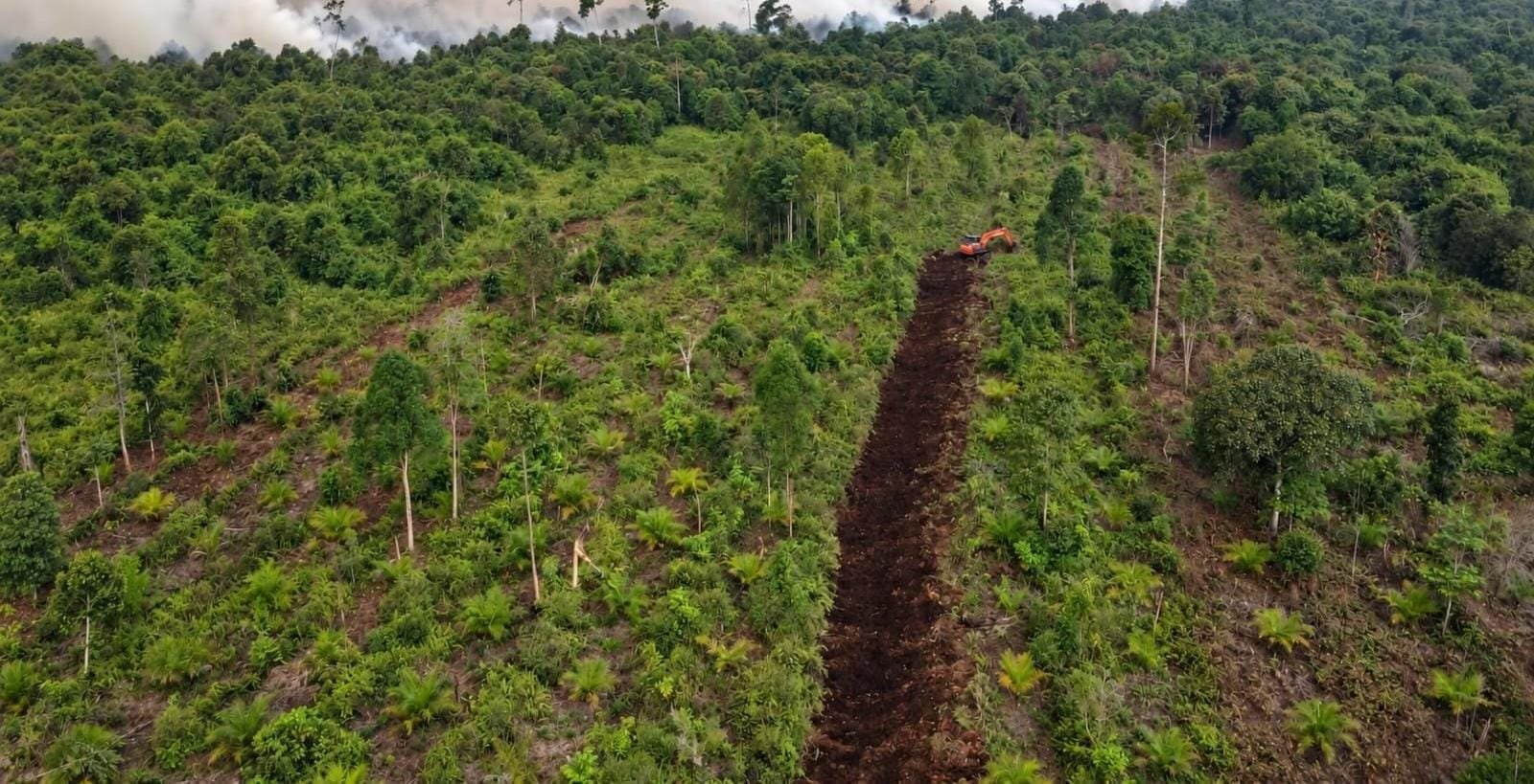 Perkuat Pengendalian Karhutla, Sekat Bakar 890 Meter Dibangun PT RHM di HP Lalan Mendis