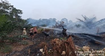 Konsisten Tangani Karhutlah Kepedulian PT Lonsum Indonesia Tbk Jaga Ekosistem Lingkungan